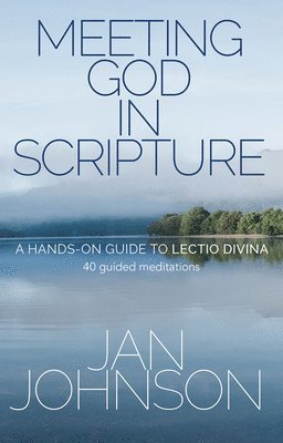 Jan Johnson - Meeting God in Scripture, Häftad