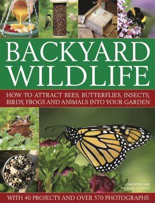 Lavelle Christine, Michael Lavelle, Christine Lavelle - Backyard Wildlife, Inbunden