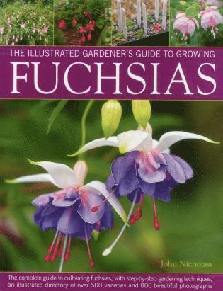 John Nicholass - Illus Gardener's Guide to Growing Fuchsias, Häftad