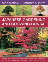 bokomslag Practical Illustrated Guide to Japanese Gardening and Growing Bonsai