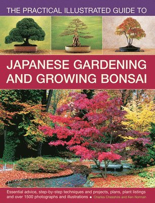 bokomslag Practical Illustrated Guide to Japanese Gardening and Growing Bonsai