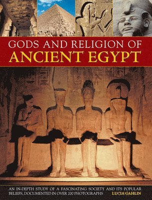 bokomslag Gods and Religions of Ancient Egypt