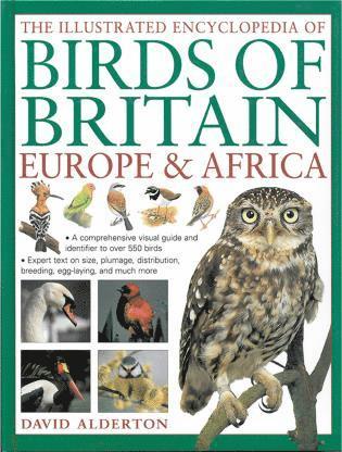 bokomslag Illustrated Encyclopedia of Birds of Britain Europe & Africa