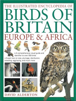 bokomslag The Illustrated Encyclopedia of Birds of Britain Europe & Africa