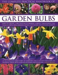 bokomslag Complete Practical Handbook of Garden Bulbs