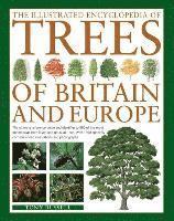 bokomslag The Illustrated Encyclopedia of Trees of Britain and Europe
