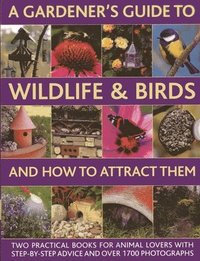 bokomslag A Gardener's Guide to Wildlife & Birds and How to Attract Them