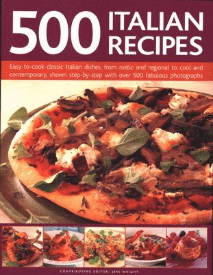 bokomslag 500 Italian Recipes