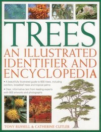 bokomslag Trees: An Illustrated Identifier and Encyclopedia