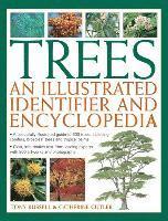 bokomslag Trees: An Illustrated Identifier and Encyclopedia