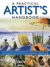 bokomslag Practical Artist's Handbook