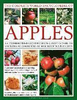 The Complete World Encyclopedia of Apples 1