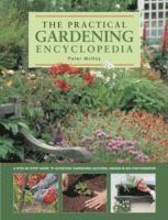 bokomslag The Practical Gardening Encyclopedia