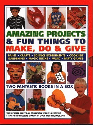 bokomslag Amazing Projects & Fun Things to Make, Do, Play & Give