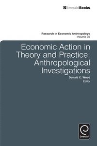 bokomslag Economic Action in Theory and Practice