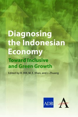 Diagnosing the Indonesian Economy 1