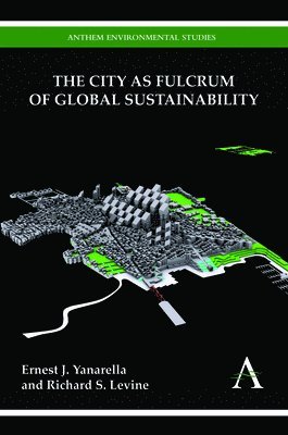 bokomslag The City as Fulcrum of Global Sustainability