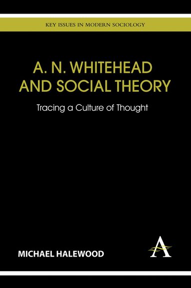 bokomslag A. N. Whitehead and Social Theory