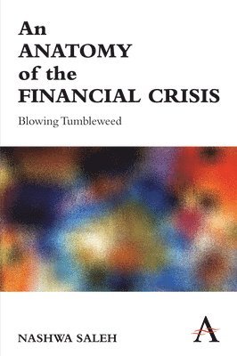 bokomslag Anatomy of the Financial Crisis
