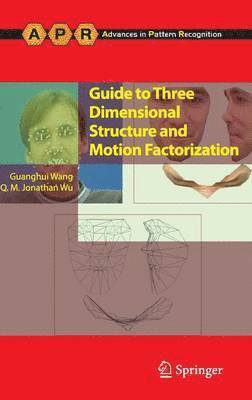 Guanghui Wang, Jonathan Wu, Q. M. Jonathan Wu - Guide to Three Dimensional Structure and Motion Factorization, Inbunden