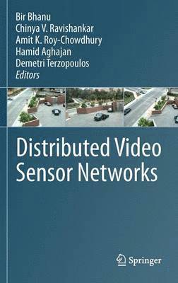 bokomslag Distributed Video Sensor Networks