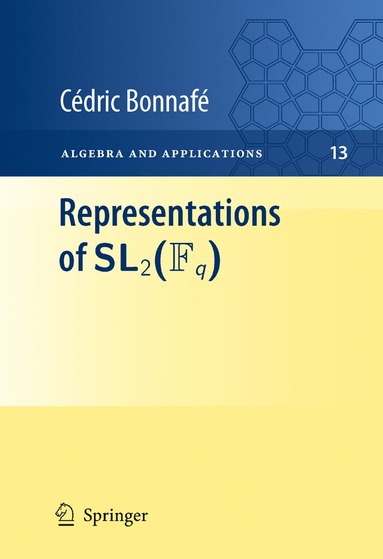 bokomslag Representations of SL2(Fq)