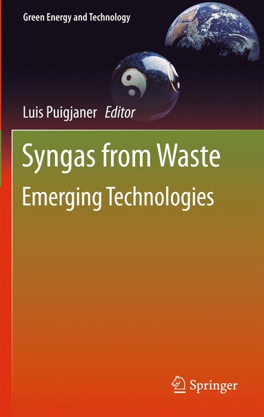 bokomslag Syngas from Waste