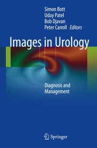 bokomslag Images in Urology