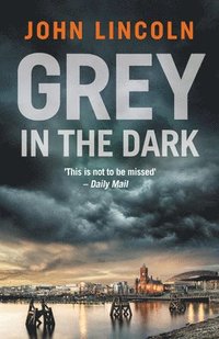 bokomslag Grey in the Dark
