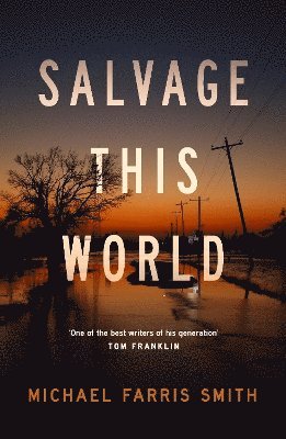 Salvage This World 1