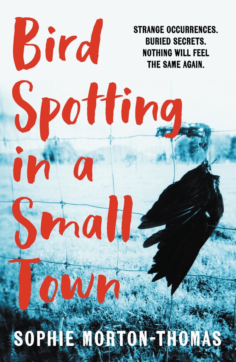 Sophie Morton-Thomas - Bird Spotting in a Small Town, Häftad