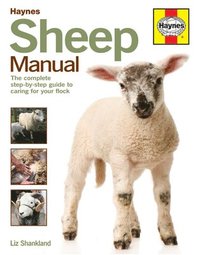 bokomslag Sheep Manual