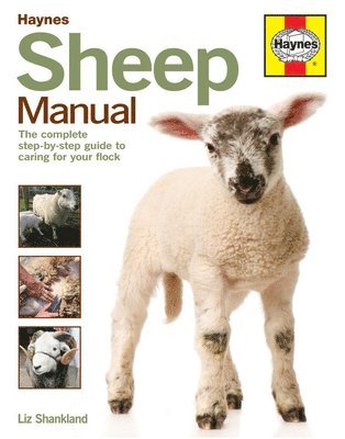 Sheep Manual 1