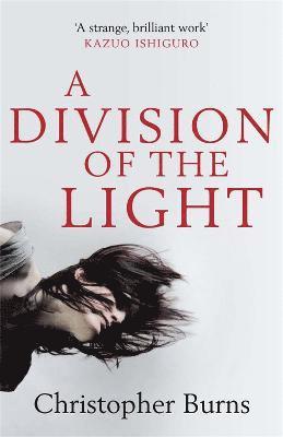 Christopher Burns - Division of the Light, Häftad