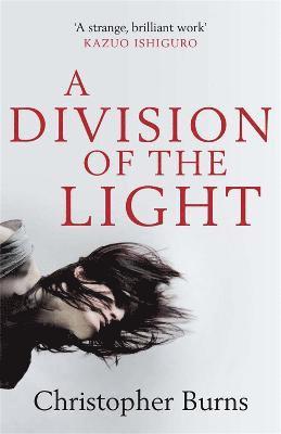 A Division of the Light 1