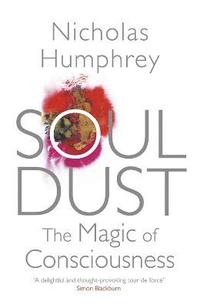 bokomslag Soul Dust