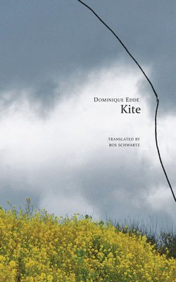 Kite 1