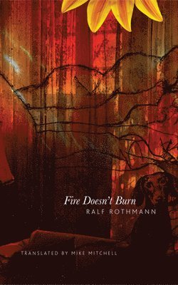 Ralf Rothmann - Fire Doesn't Burn, Inbunden