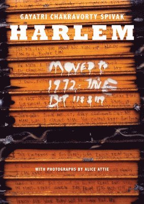 Harlem 1