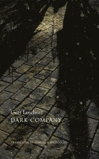 bokomslag Dark Company