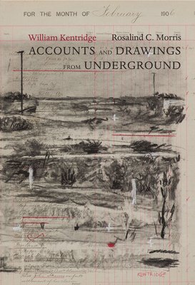 William Kentridge, Rosalind C. Morris - Accounts and Drawings from Underground, Inbunden