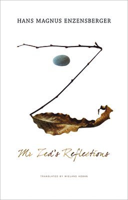 Hans Magnus Enzensberger - Mr. Zed's Reflections, Inbunden