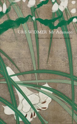 Urs Widmer - Mr Adamson, Inbunden