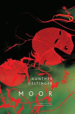 Gunther Geltinger - Moor, Inbunden