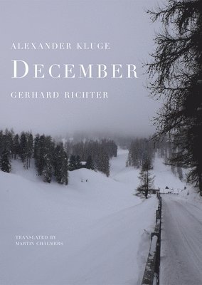 Alexander Kluge, Gerhard Richter - December, Häftad