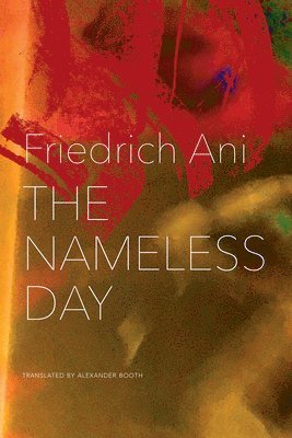 Friedrich Ani - Nameless Day, Inbunden