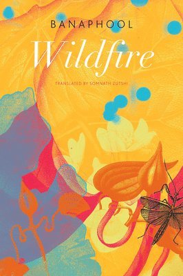 Wildfire 1