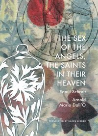 bokomslag Sex of the Angels, the Saints in their Heaven