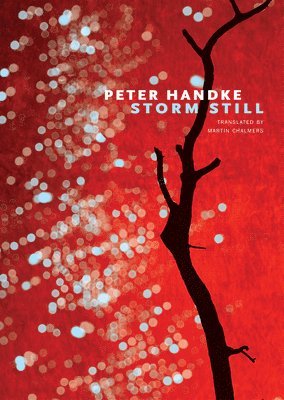 Peter Handke - Storm Still, Häftad