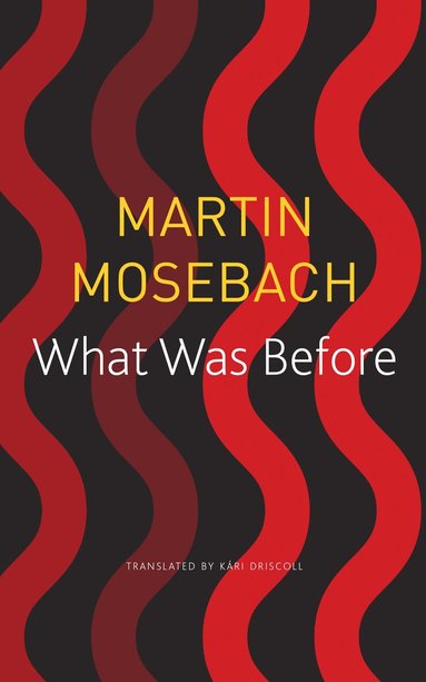 Martin Mosebach - What Was Before, Häftad